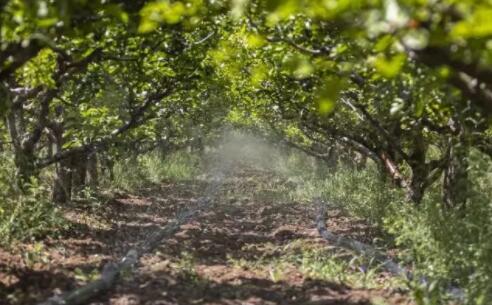 太原運(yùn)用水肥一體化設(shè)施、軟體集雨水窖解決旱情