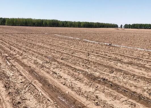 水肥一體化有什么優(yōu)點(diǎn)，怎樣使用效果才更好